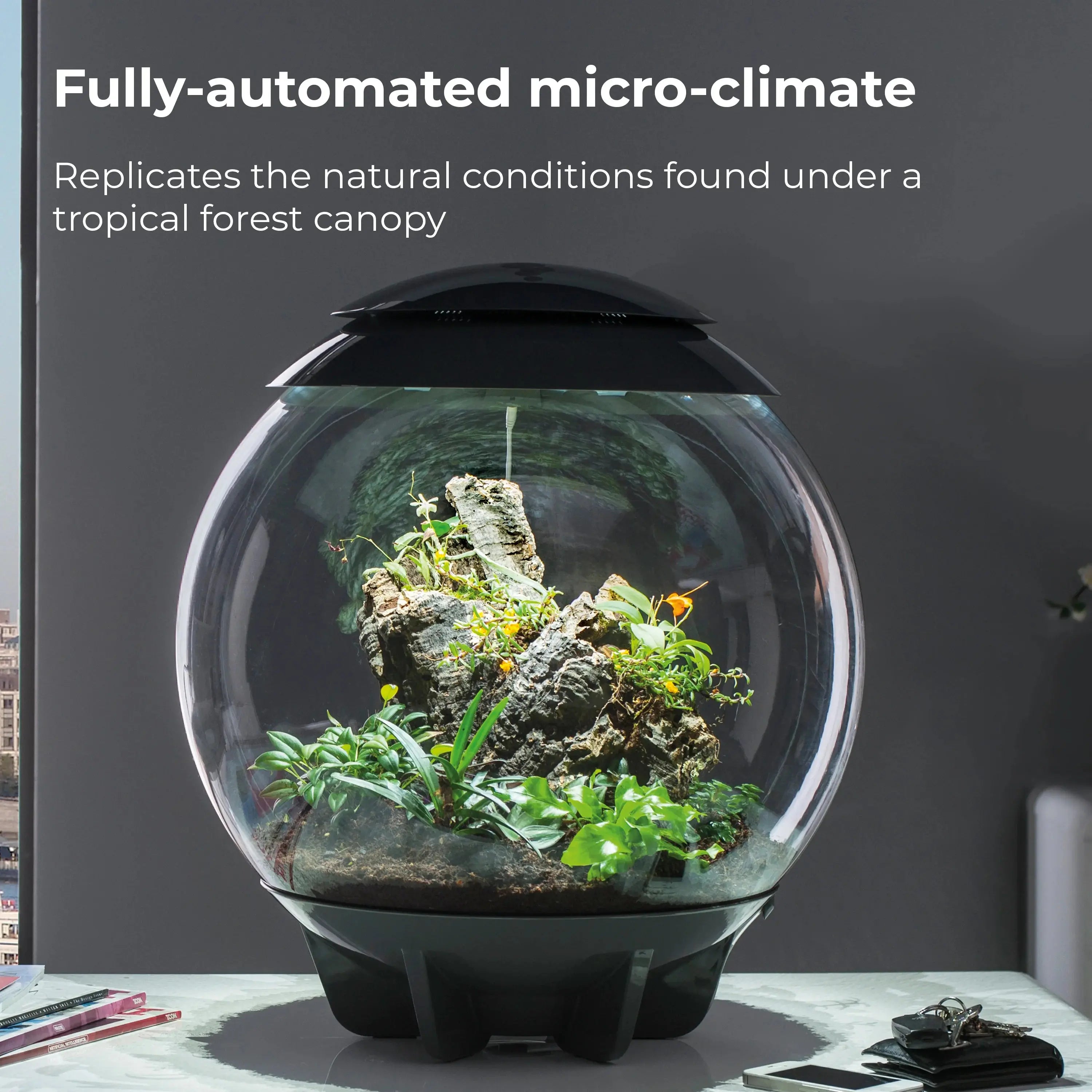 BiOrb AIR 60 Modern Glossy Terrarium for Tropical Plants and Creatures