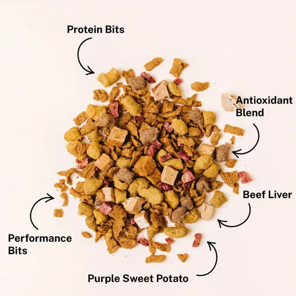 Delicious Yummers Dog Food: Salmon & Lamb Recipe with Freeze - Dried Proteins