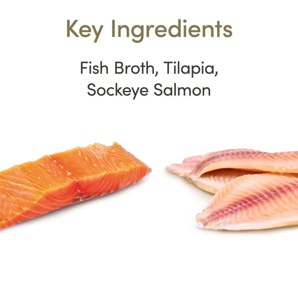 Applaws Premium Natural Wet Cat Food - 2.12oz Pot of Tilapia with Sockeye Salmon Flakes in Gravy, Pack of 18 Cans