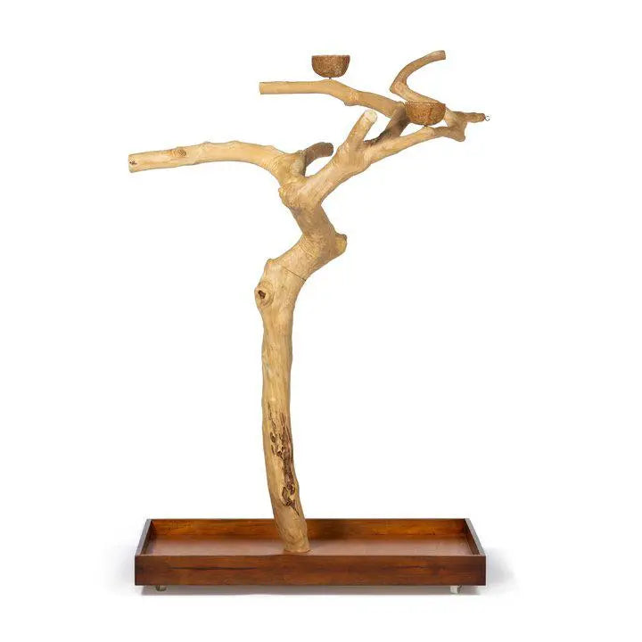 Prevue Pet Products Sustainable Coffeawood Floor Stand Perch Tree Style 2 for Large Birds