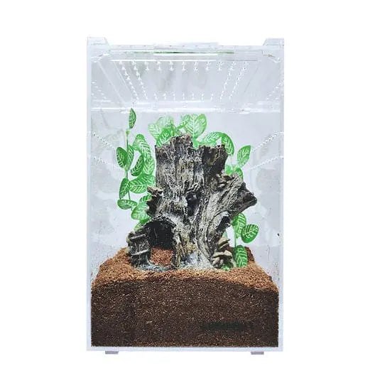 Small and Tall Transparent Acrylic Terrarium Cage for Tarantula and Scorpion Breeding