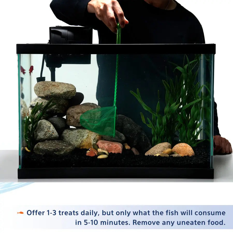Aqueon Stick'ems Freeze-Dried Treats for Freshwater and Marine Fish - Premium Brine and Mysis Shrimp Fish Food