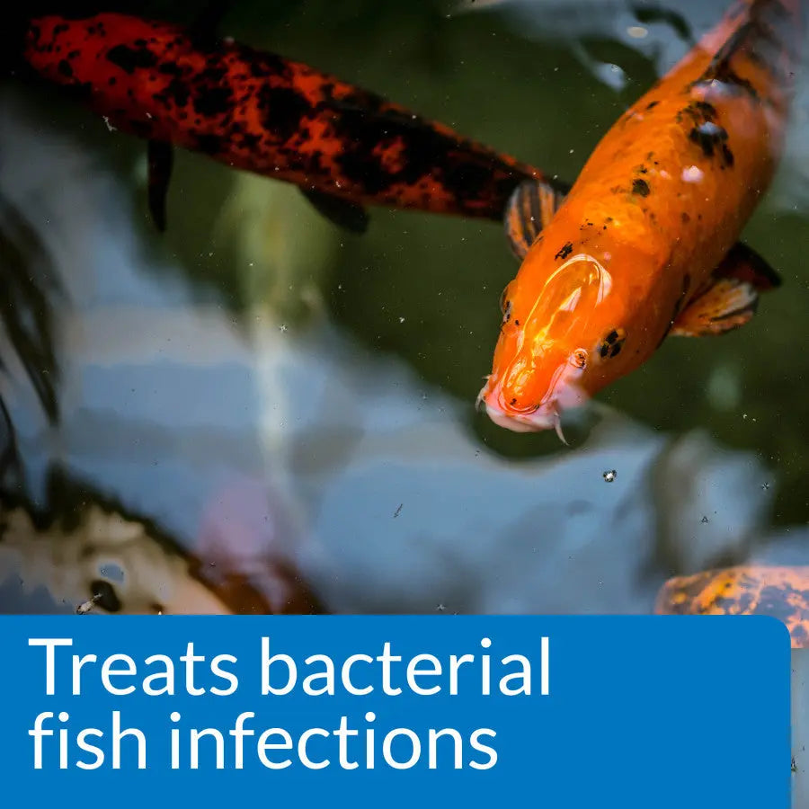 API Pond Melafix All - Natural Anti - Bacterial Remedy for Pond Fish Health