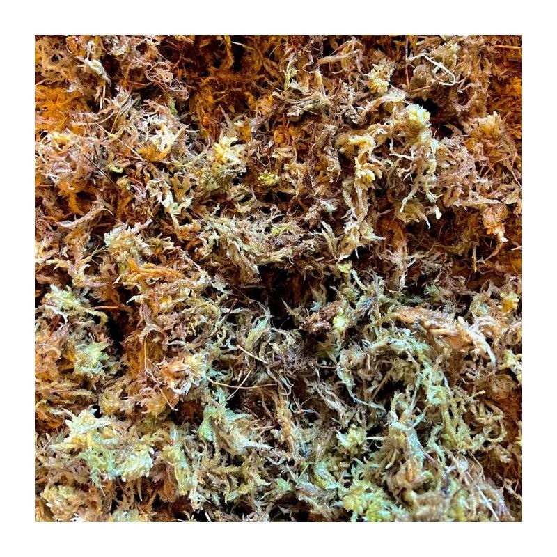 Lugarti's Top - Quality Premium Sphagnum Moss for Reptiles, Amphibians and Plants