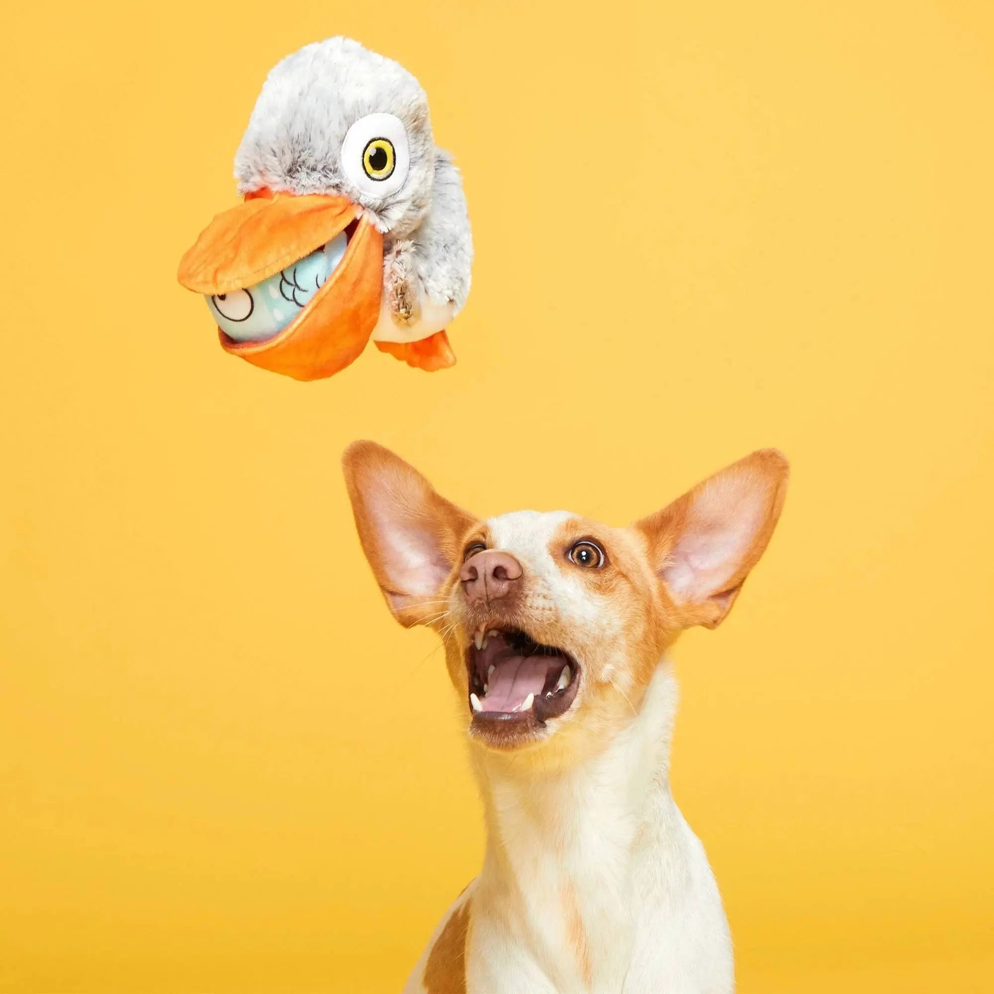 BARK Interactive Big Bill Pelican & Beak-A-Boo Fish Dual Dog Toy