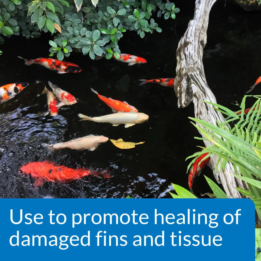 API Pond Melafix All - Natural Anti - Bacterial Remedy for Pond Fish Health