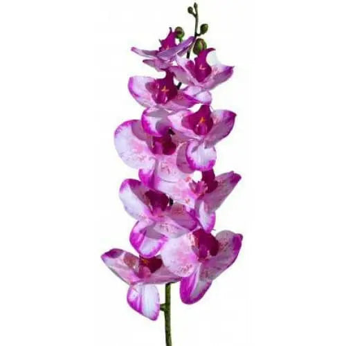 Lugarti's Realistic Moth Orchids for Reptile Habitat Decor