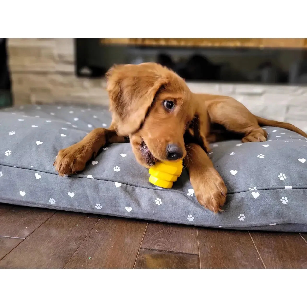 Project Hive Pet Company's Exceptionally Durable Chew and Fetch Toy for Small Canines