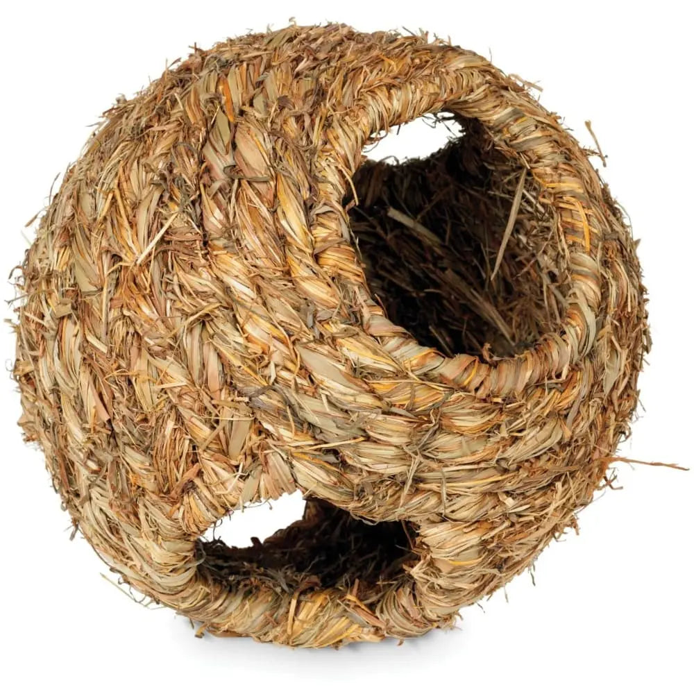 Prevue Pet Products Medium-Sized Natural Grass Activity Ball for Small Animals