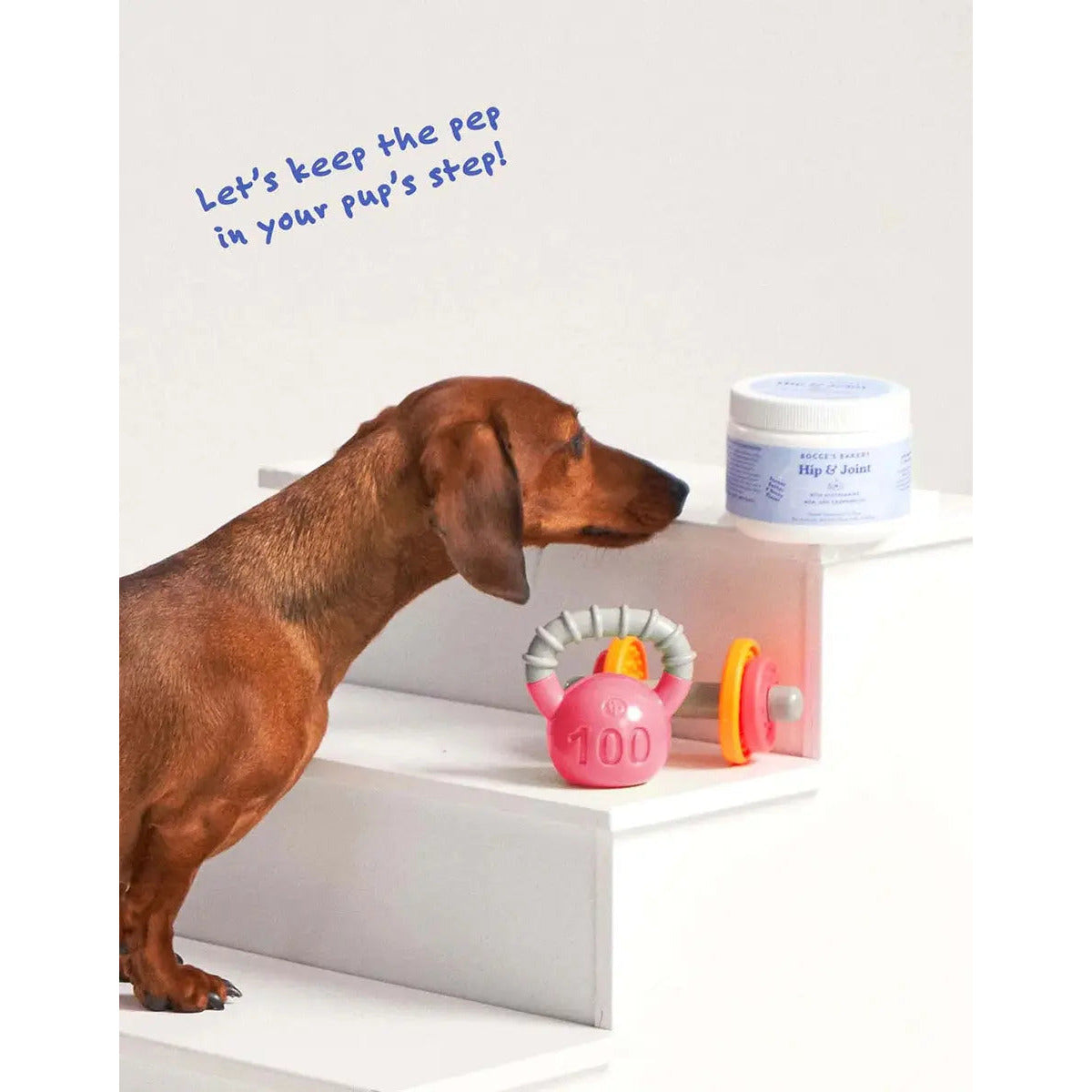Bocce's Bakery 60-Count Hip & Joint Soft Chew Supplements for Dogs