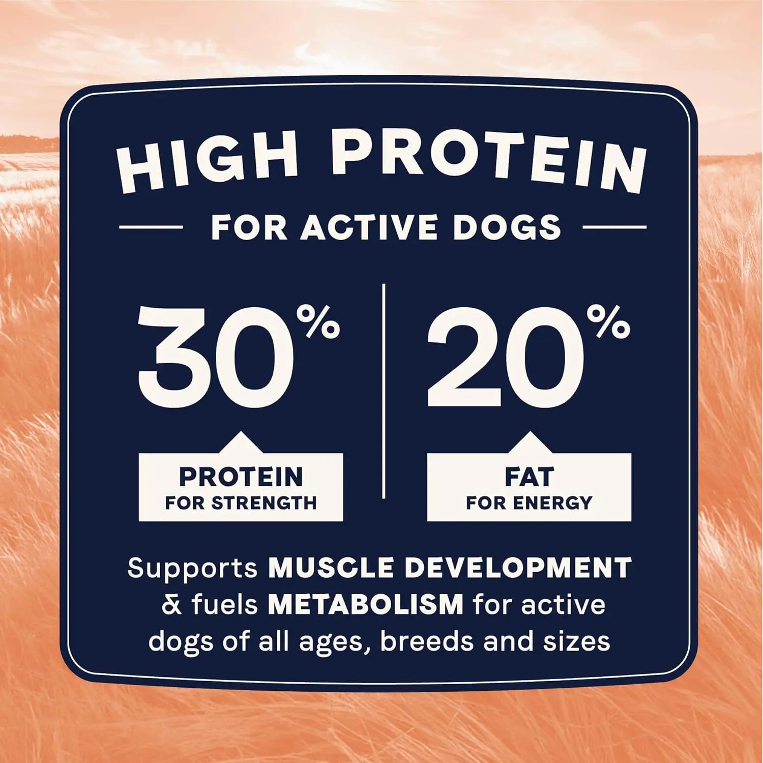 CANIDAE Premium All Life Stages Real Salmon and Ancient Grains Dry Dog Food for Canines of All Ages