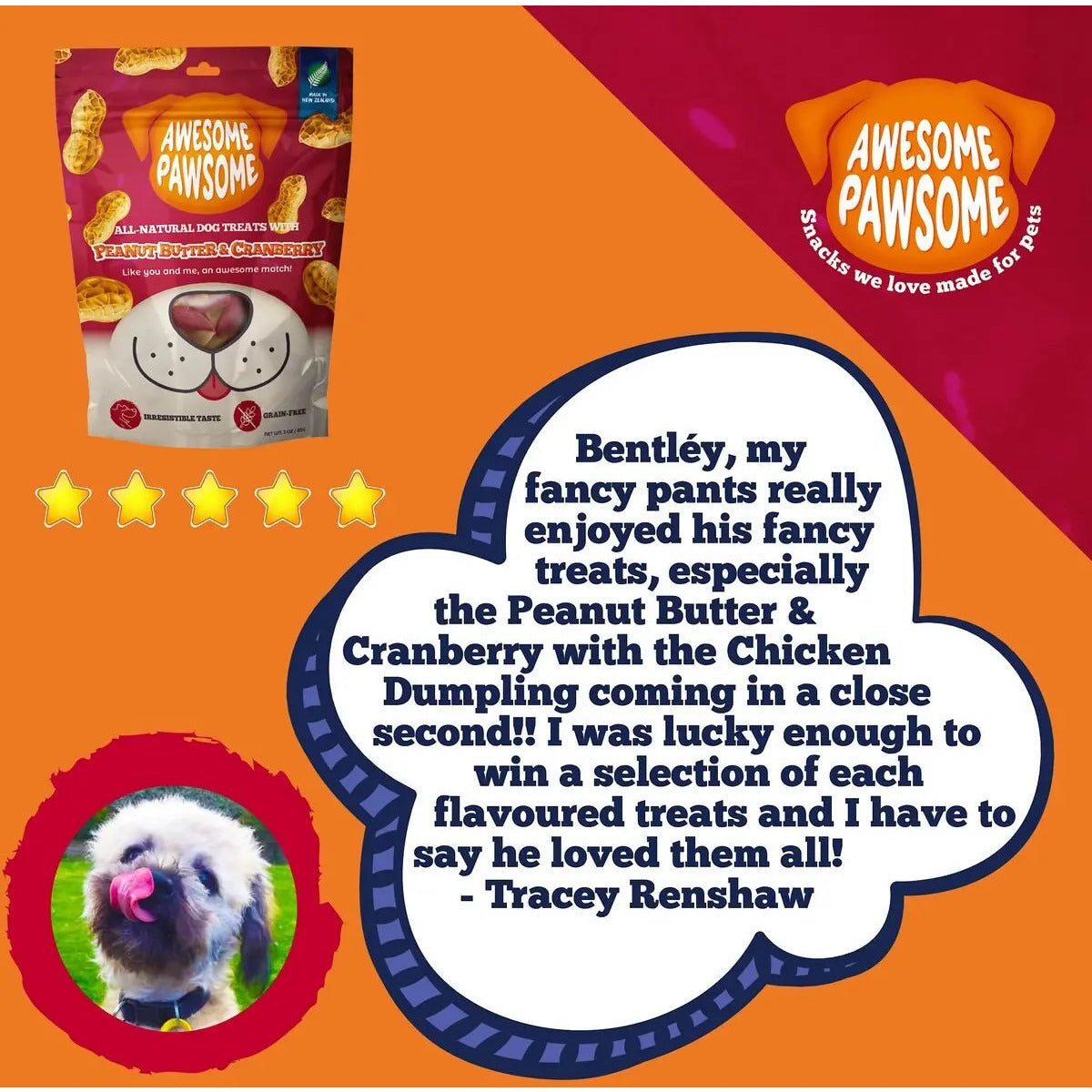 Delicious All - Natural Peanut Butter and Cranberry Dog Treats, 3 - Ounce Package