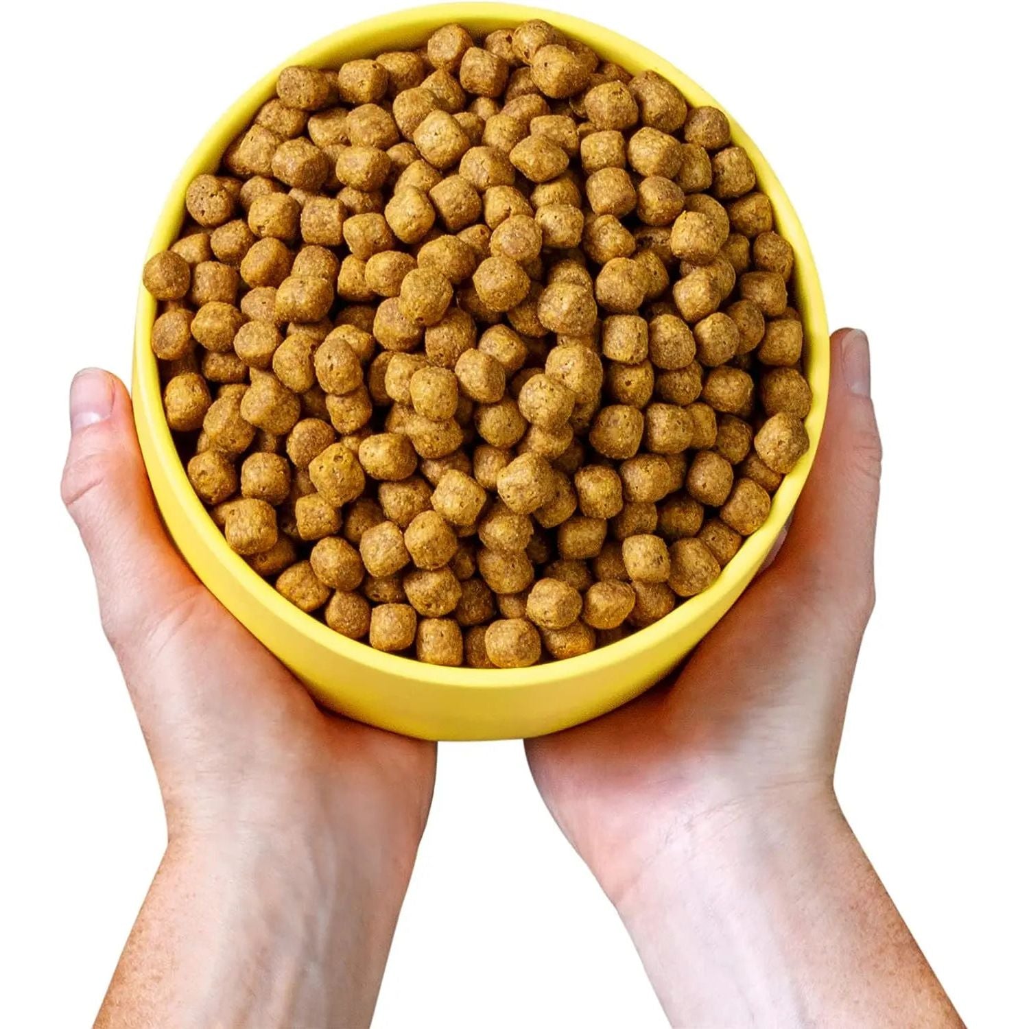 Wild Earth Vegan Maintenance Dog Food: Golden Rotisserie Flavor for Allergy Relief