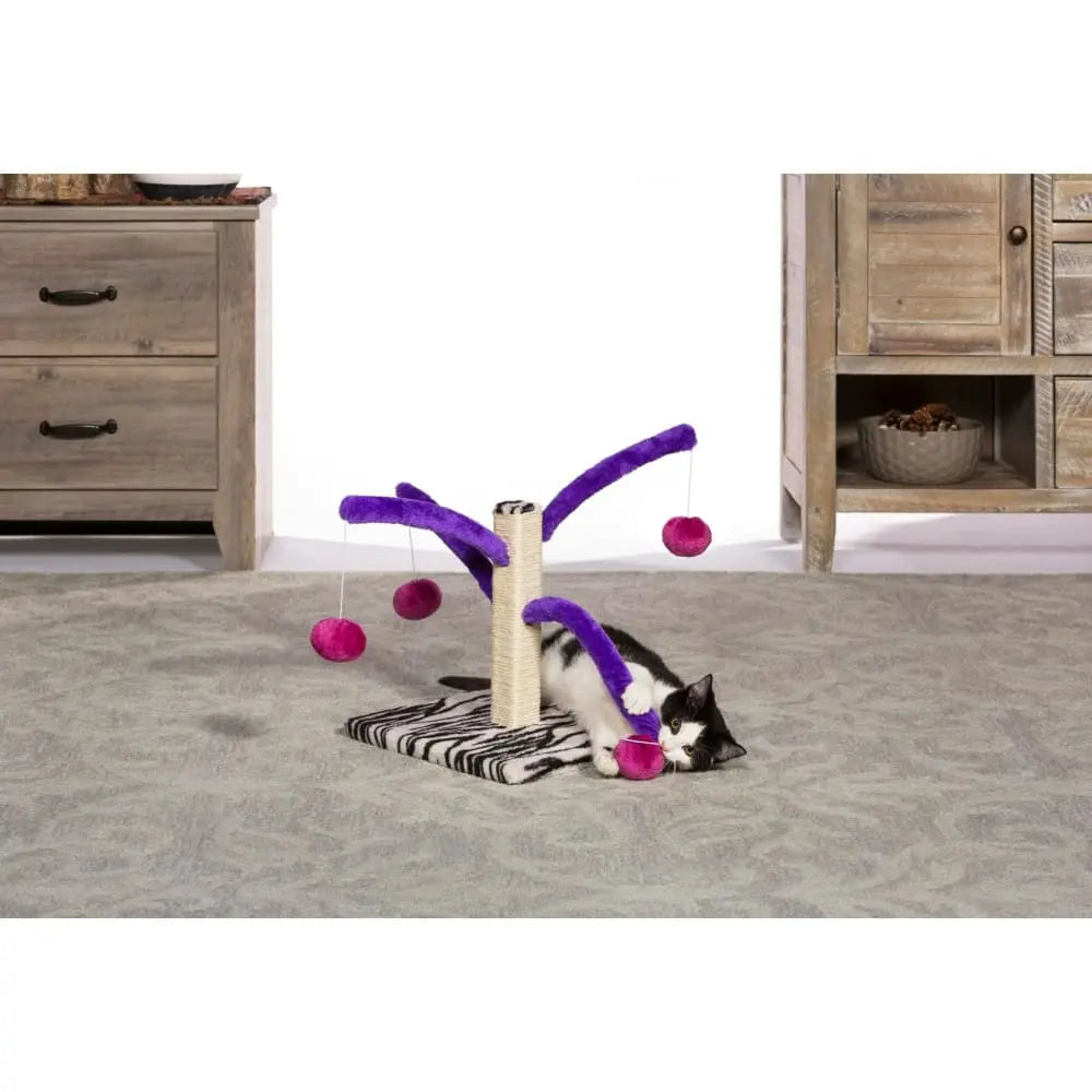 Prevue Pet Products Interactive Bounce and Spring Cat Scratcher Toy