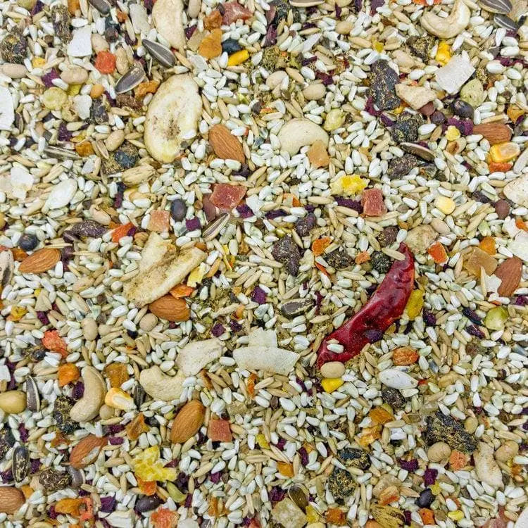 Higgins Premium Mayan Harvest Tikal Blend Parrot and Eclectus Bird Food - 3 Pound Package
