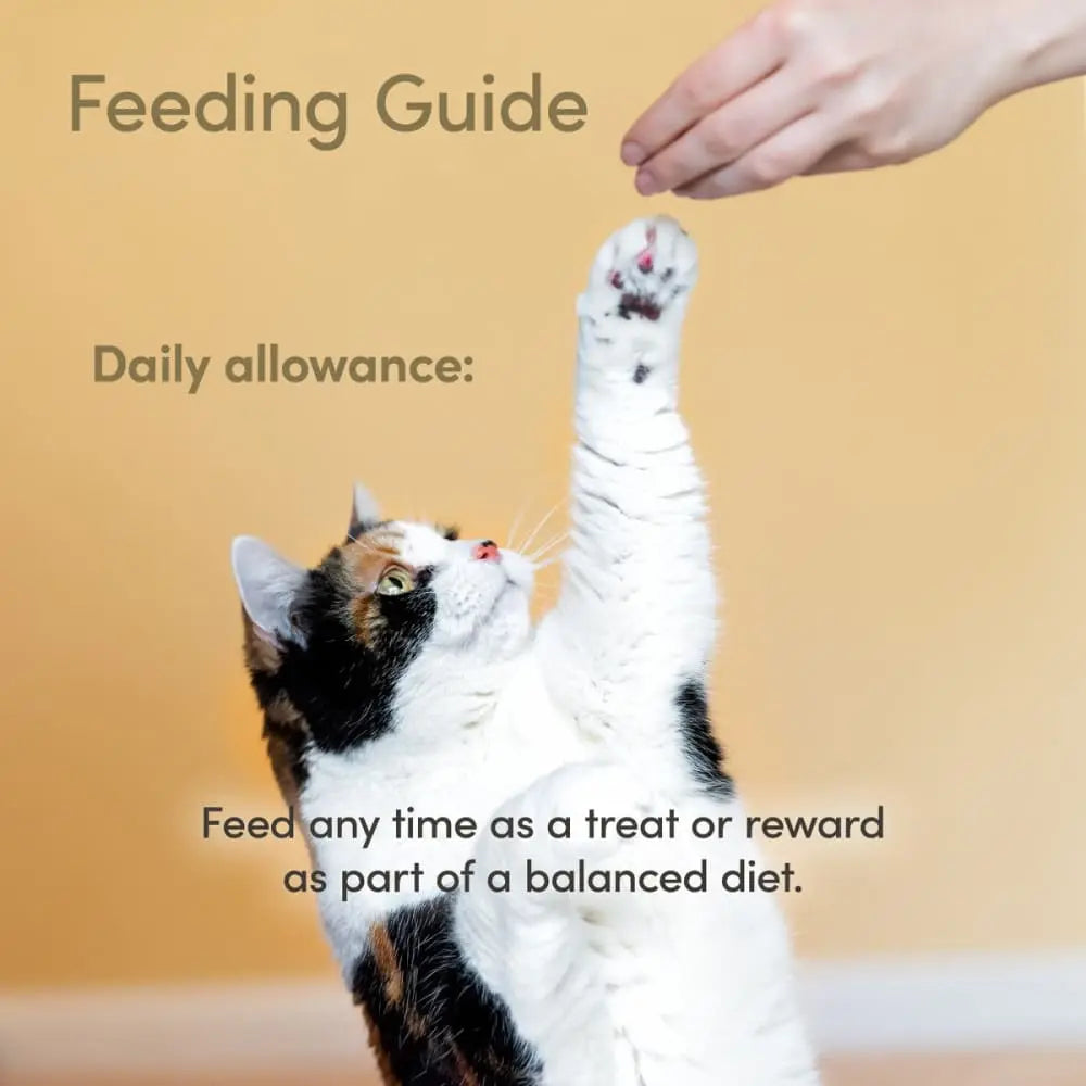 Applaws Premium Natural Cat Treats - 12-Pack of 1.06oz Whole Mackerel Loins