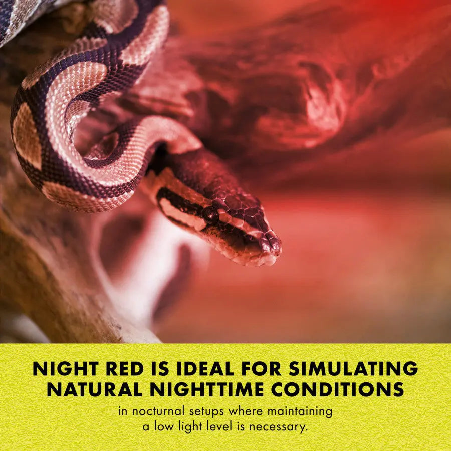 Zilla Energy - Efficient Mini Halogen Bulbs for Reptile Habitats