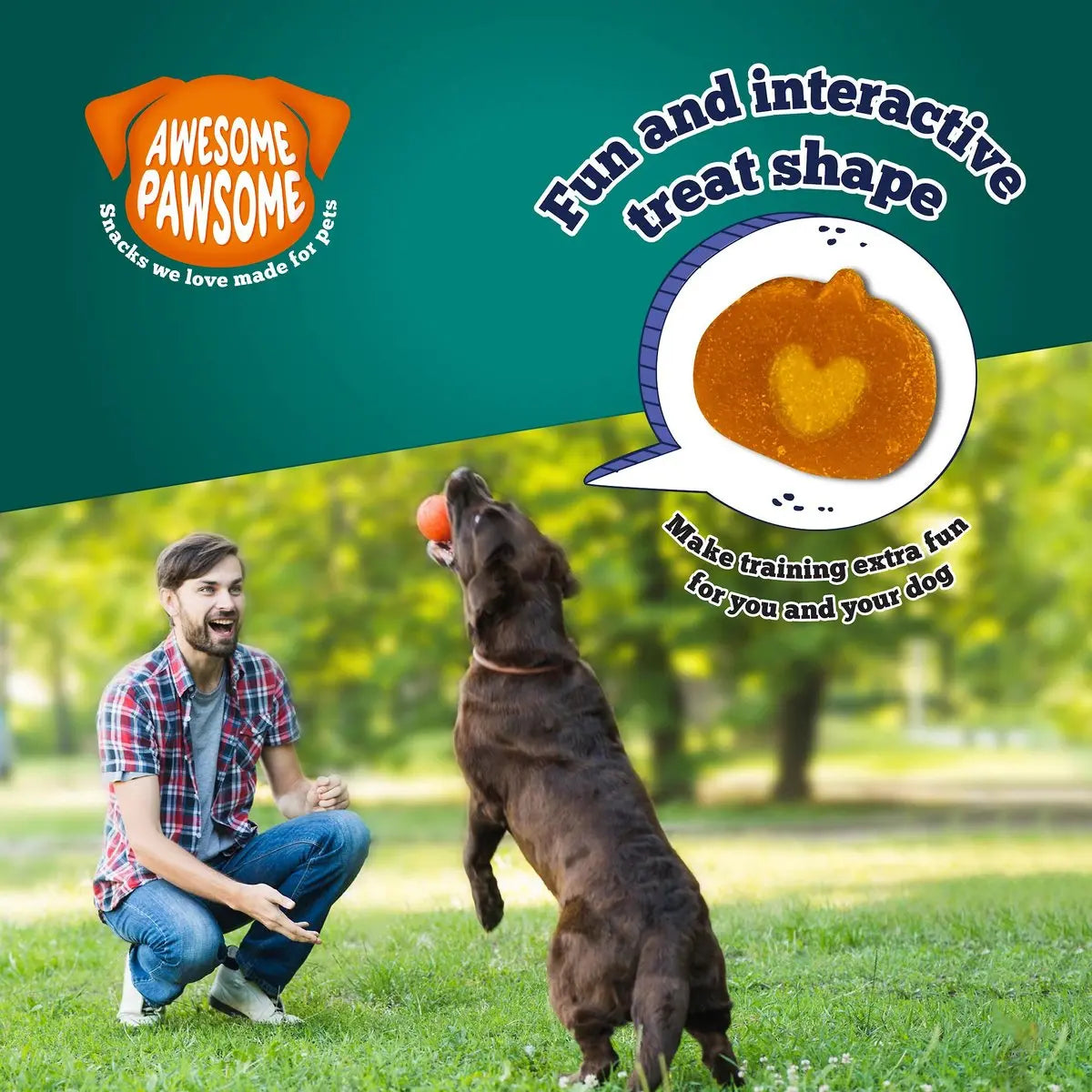 Incredibly Delightful Super Pumpkin Recipe Dog Treats - 3 Ounce Pack