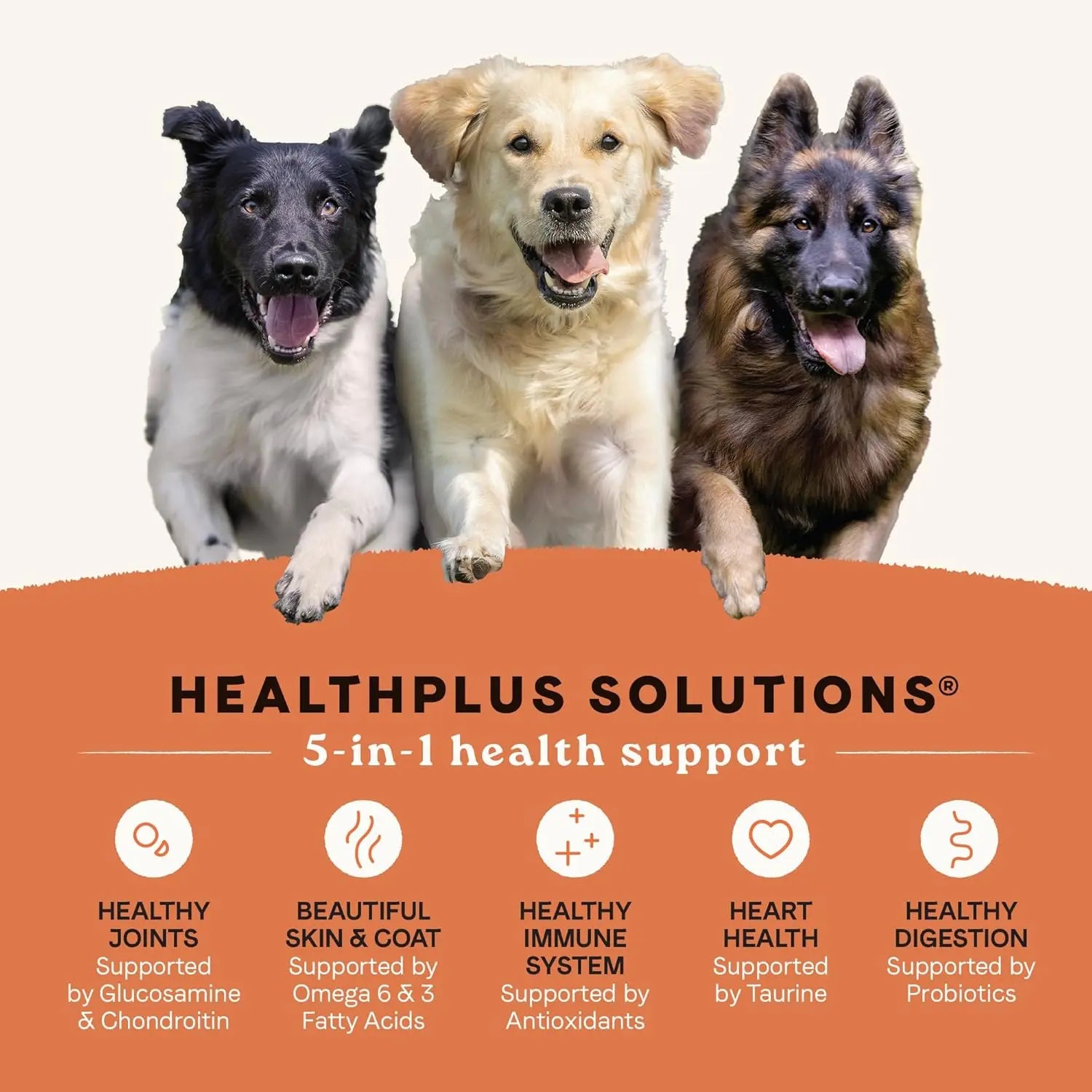 CANIDAE Premium All Life Stages Real Salmon and Ancient Grains Dry Dog Food for Canines of All Ages