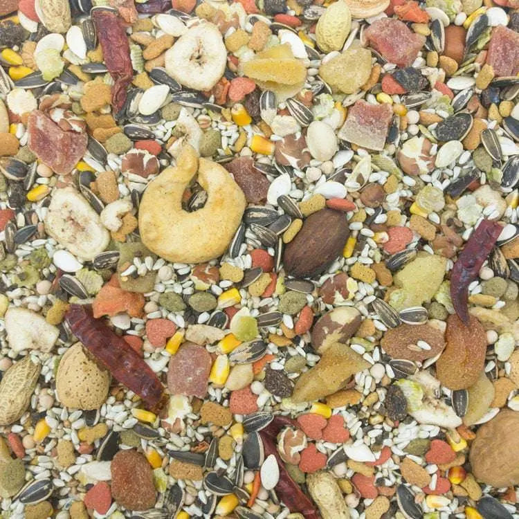 Higgins Gourmet Blend Sunburst Premium Macaw and Parrot Bird Food