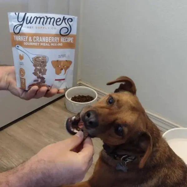 Yummers 5 oz Gourmet Turkey & Cranberry Recipe Dog Food Topper