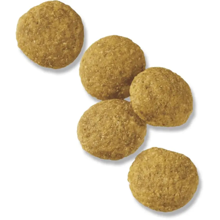 Pro Plan High - Quality Chicken & Rice Formula for Large Breed Dogs
