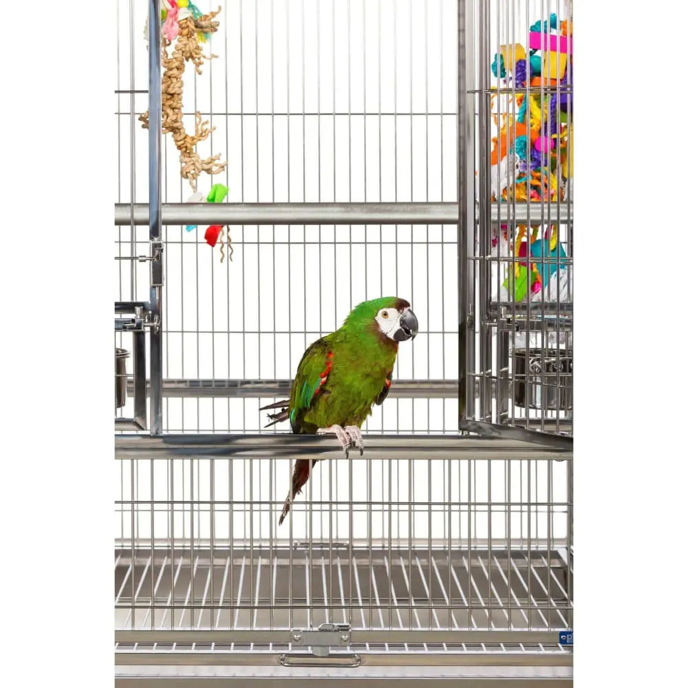 Prevue Pet Products Premium Large-Scale Stainless Steel Bird Cage with Play Top