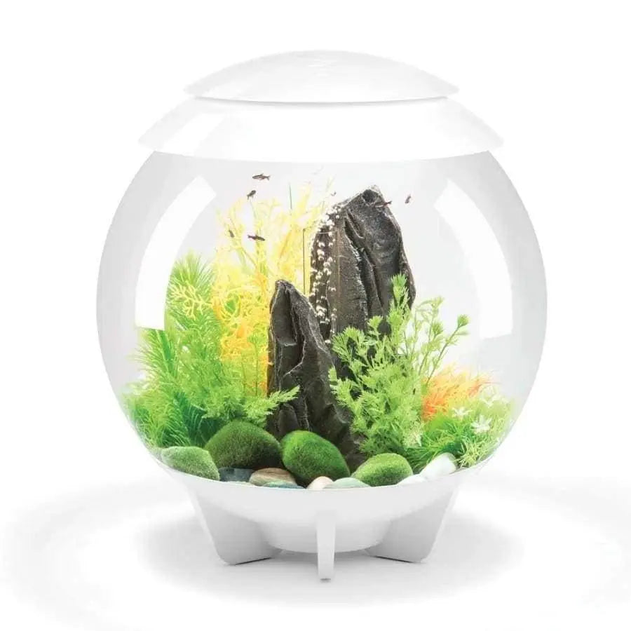 BiOrb HALO Multi-Color Remote-Controlled Acrylic Aquarium Kit for Beginner Fish Keepers