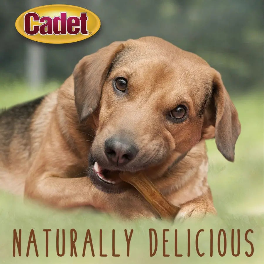 Cadet Premium Quality Pressed Beef Hide Bones - Ideal Dog Chews for Aggressive Chewers