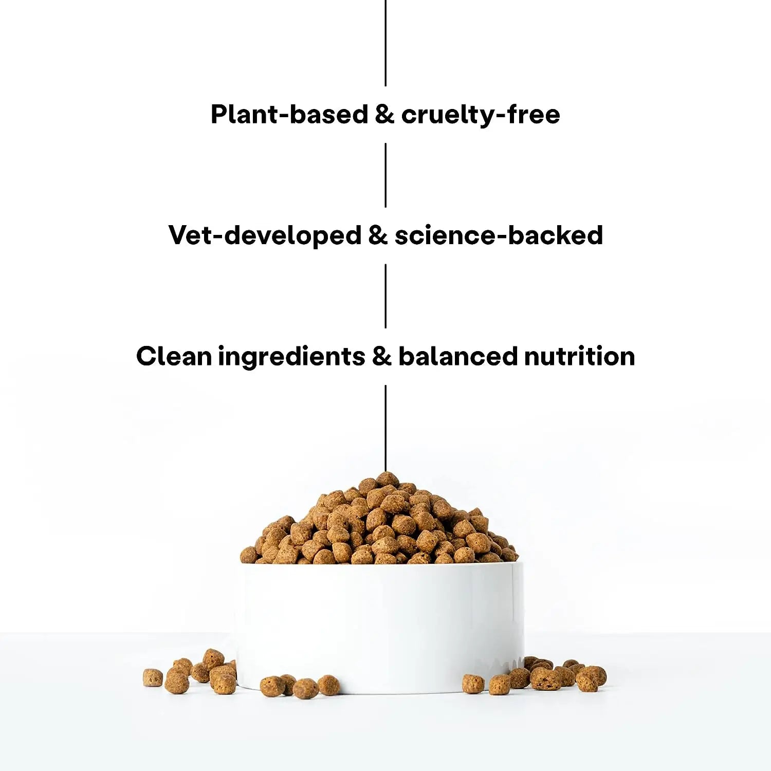 Wild Earth Vegan Maintenance Dog Food: Golden Rotisserie Flavor for Allergy Relief