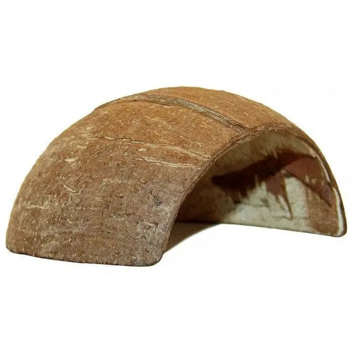Lugarti's Premium Handcrafted Coconut Tarantula Hides