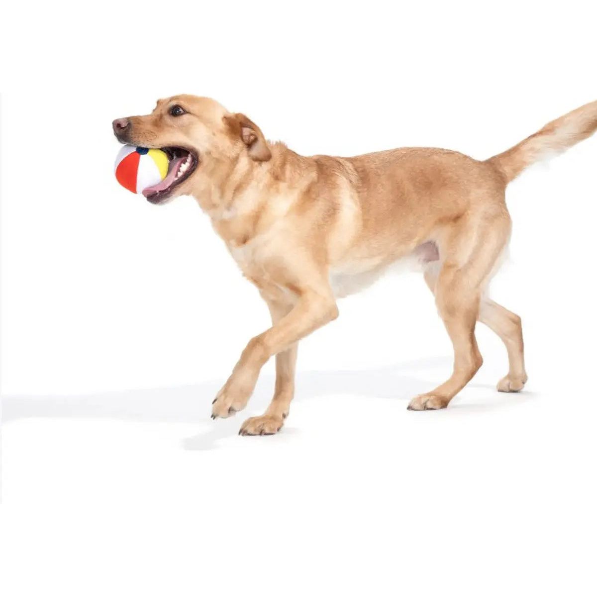 BARK Spike the Super Chewer Beach - style Dog Toy for Summer Fun
