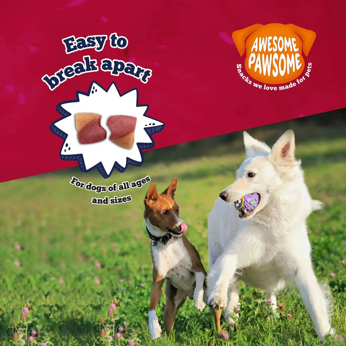 Delicious All - Natural Peanut Butter and Cranberry Dog Treats, 3 - Ounce Package