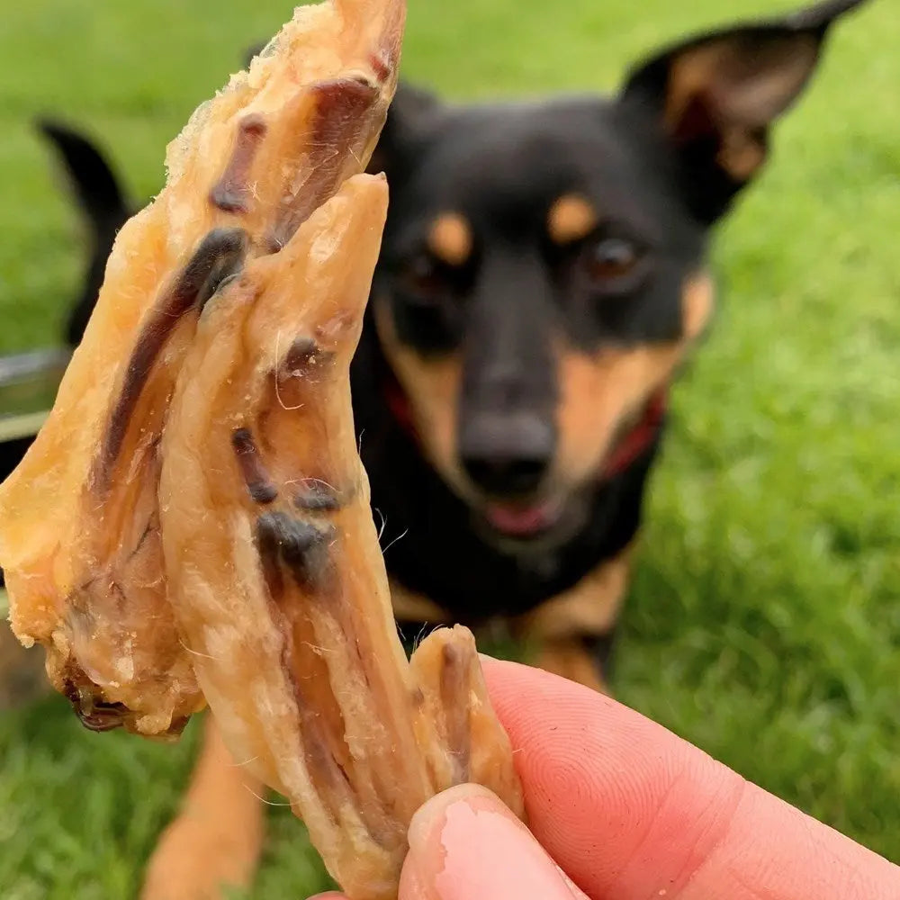 Lulu's Kitchen Air - Dried Chicken Wing Bites: Lean & Nutritious Dog Treats