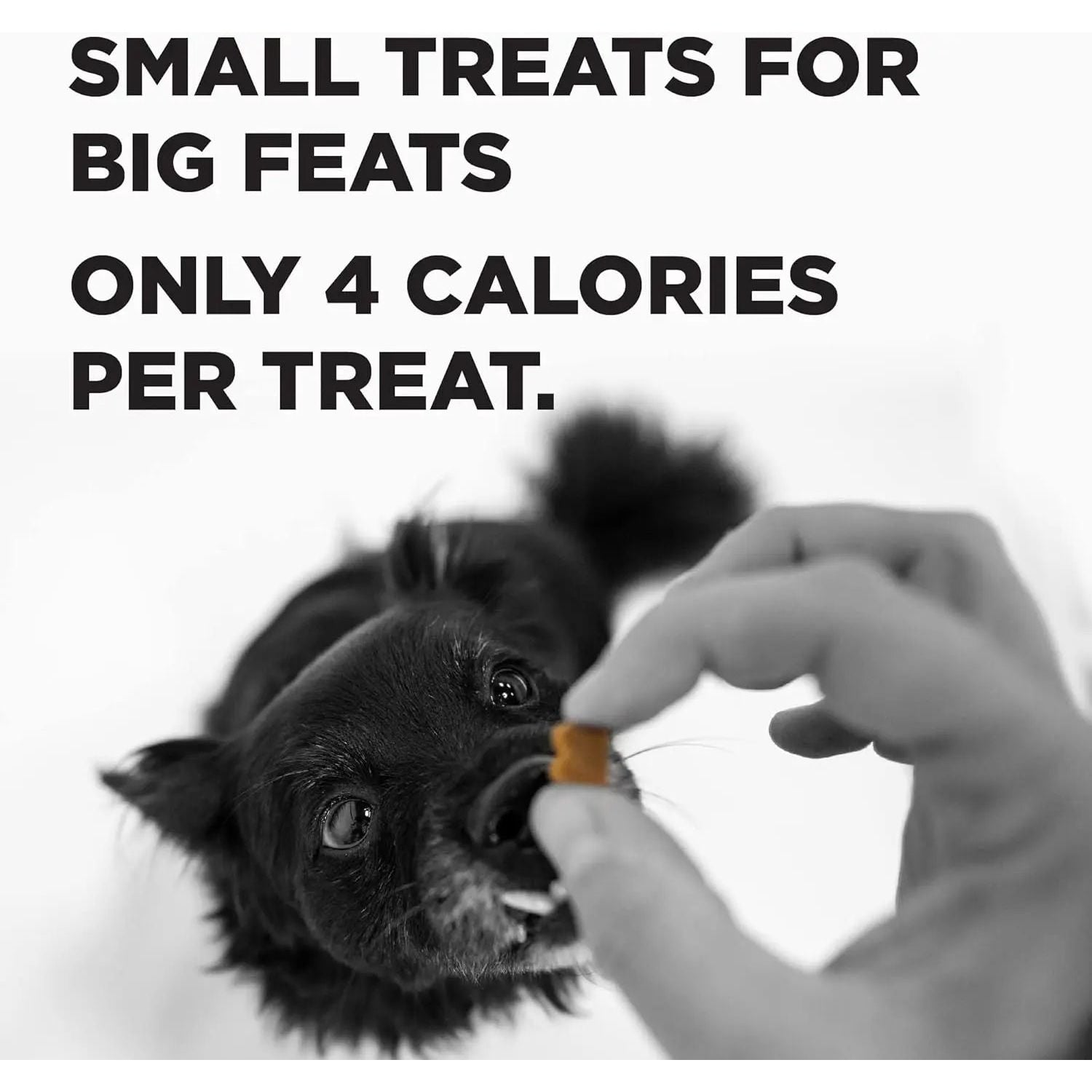 BIXBI Pocket Trainers 6oz Grain-Free Low-Calorie Dog Treats with 3 Flavors