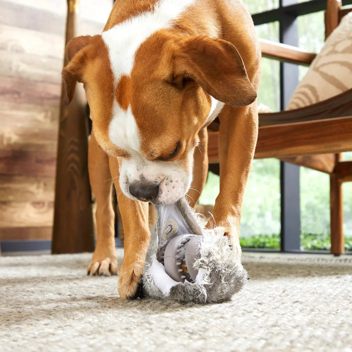 BARK Grey Medium/Large Hare Raiser Rabbit Super Durable Rubber Chewer Dog Toy