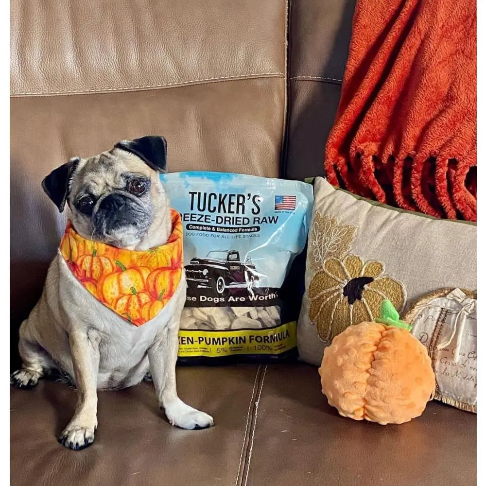 Tucker's® Premium Freeze - Dried Chicken - Pumpkin Formula Dog Food, 14 - Ounce Pack