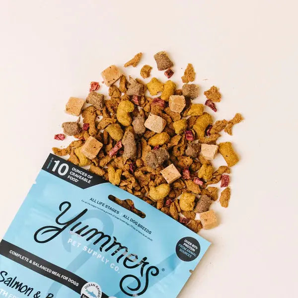 Delicious Yummers Dog Food: Salmon & Beef Recipe Enriched with Freeze - Dried Proteins