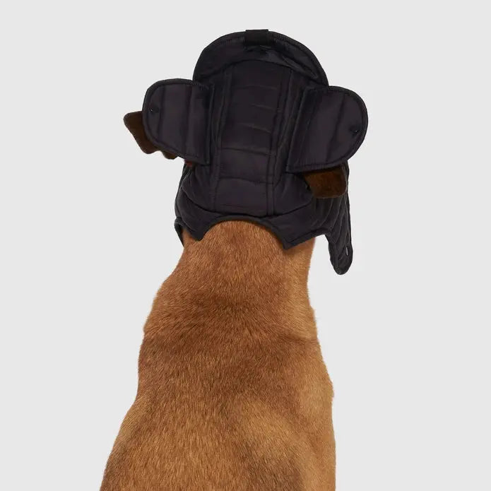 Stylish Canada Pooch Insulated Puffer-style Dog Hat for Winter Warmth
