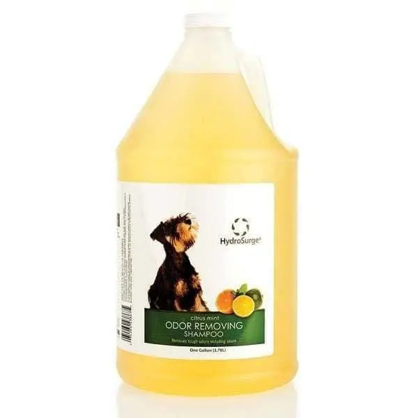 HydroSurge One - Gallon Citrus Mint Scented Dog Odor - Eliminating Shampoo