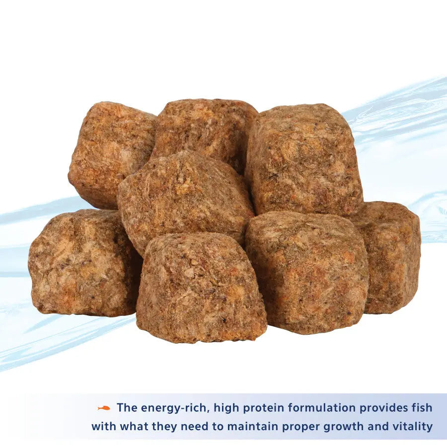 Aqueon Stick'ems Freeze-Dried Treats for Freshwater and Marine Fish - Premium Brine and Mysis Shrimp Fish Food