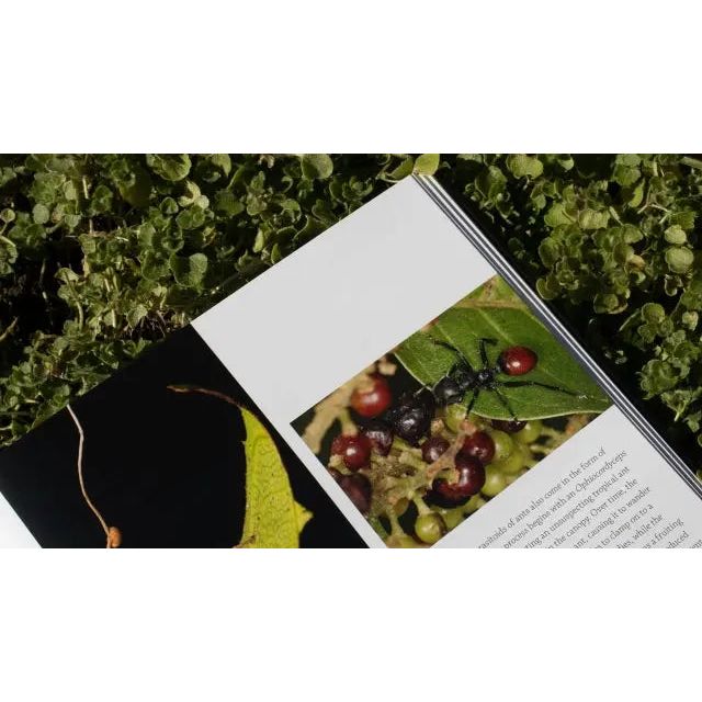 Ants: An In - Depth Visual Guide by Heather Campbell and Benjamin Blanchard