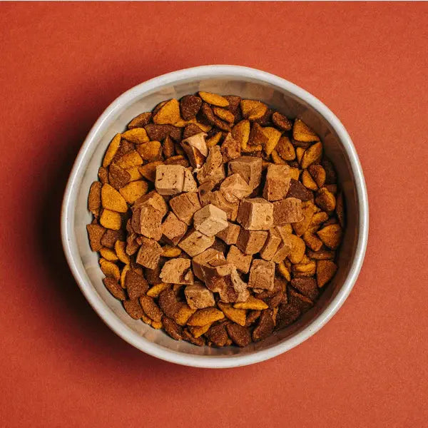 Yummers 2.5 oz Freeze-dried American Beef Liver Gourmet Topper for Dogs