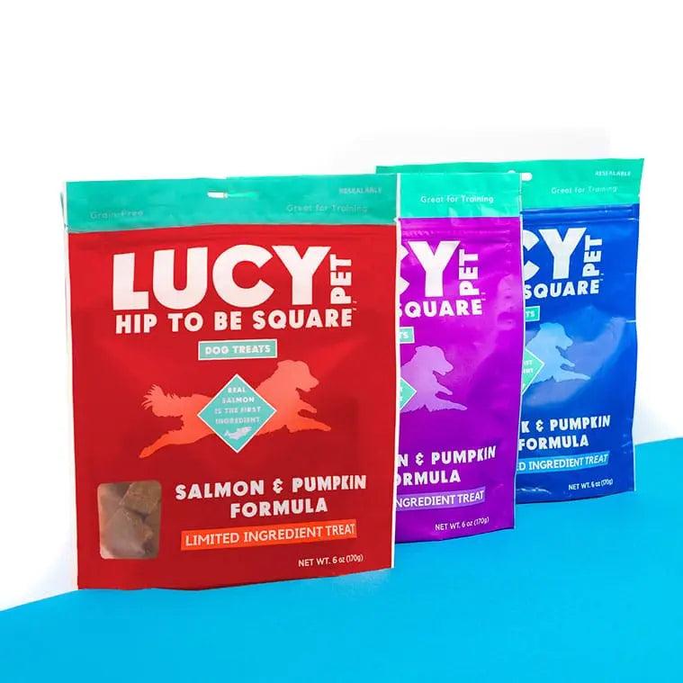 Lucy Pet Products High - Quality Limited Ingredient Salmon & Pumpkin Dog Treats