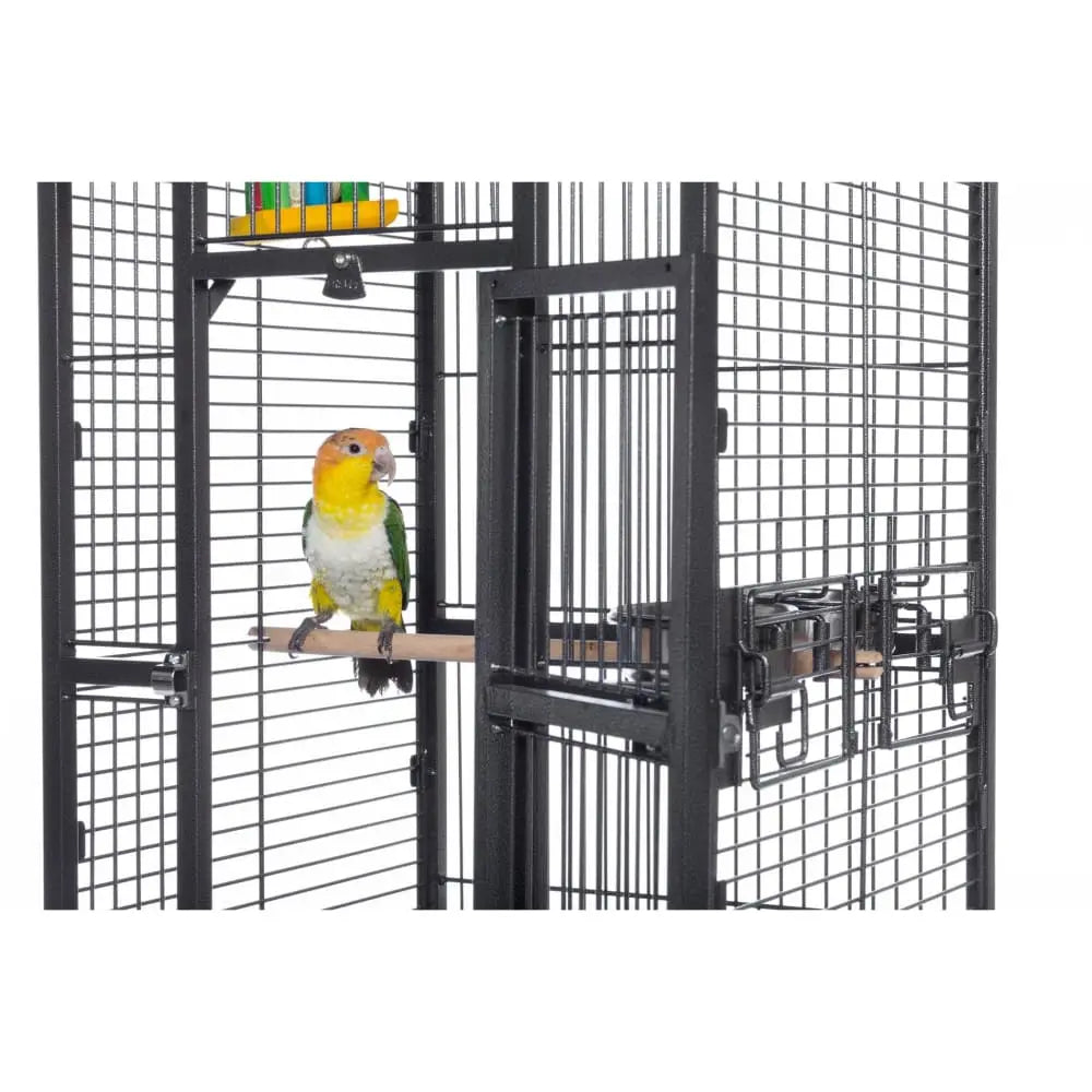 Prevue Pet Products High - Quality Small - Sized Stainless Steel Bird Cage with Play Top