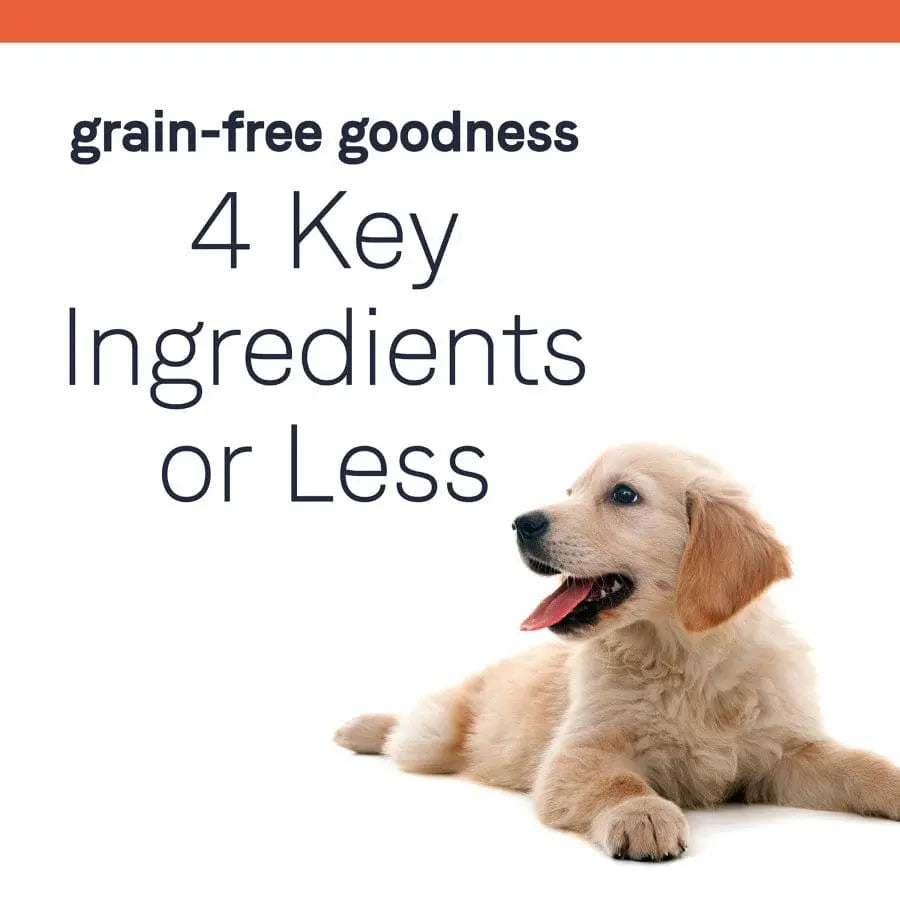 CANIDAE PURE Grain-Free Foundations Chicken Flavor Wet Dog Food for Puppies, Pack of 12 Cans, 13 Ounces Each