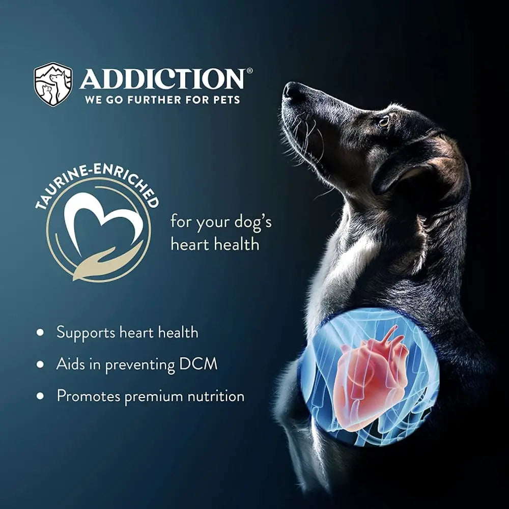 High - Quality Addiction Zen Vegetarian Grain - Free Dry Dog Food for Canine Companions