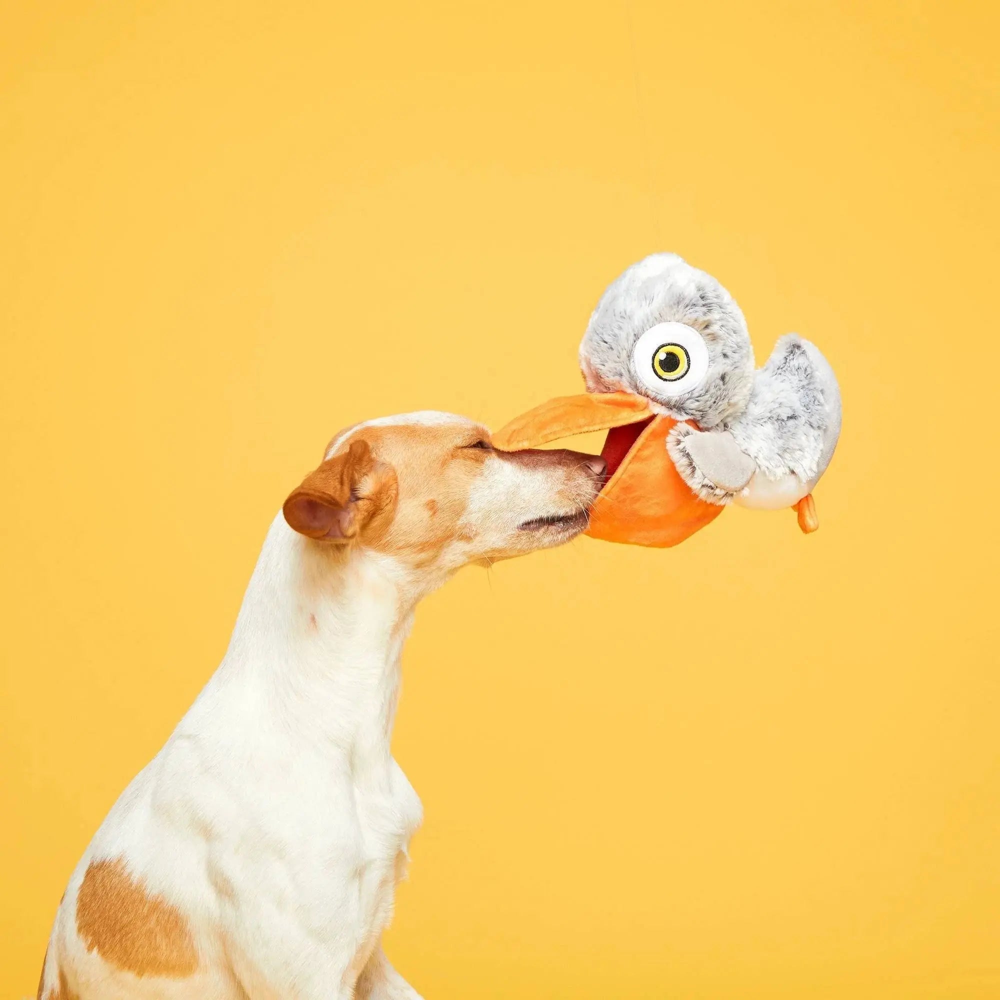 BARK Interactive Big Bill Pelican & Beak-A-Boo Fish Dual Dog Toy