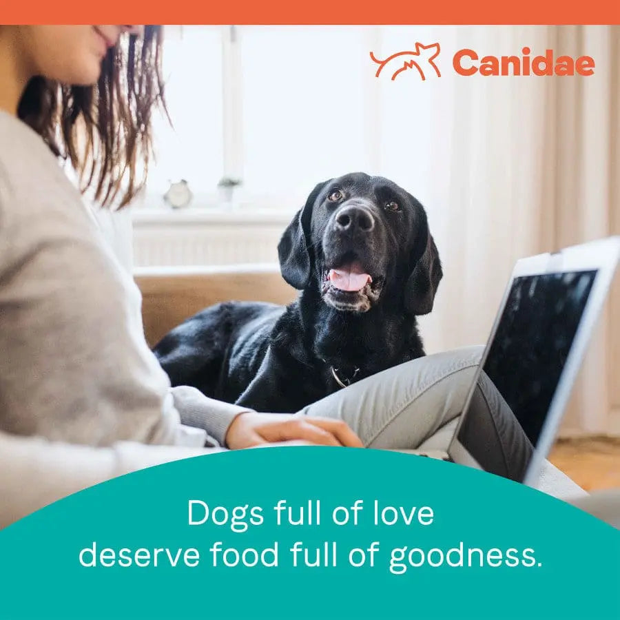 CANIDAE PURE Grain-Free Dry Dog Food with Real Bison, Lentils & Carrots