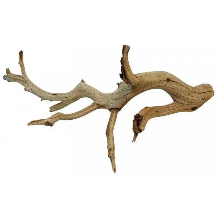 Lugarti's Hand - crafted Desert - sourced Ghost Wood for Reptile Decor